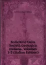 Bollettino Della Societa Geologica Italiana, Volumes 1-3 (Italian Edition) - Società geologica italiana