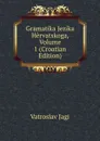 Gramatika Jezika Hervatskoga, Volume 1 (Croatian Edition) - Vatroslav Jagi