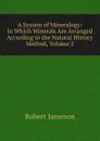 A System of Mineralogy: In Which Minerals Are Arranged According to the Natural History Method, Volume 2 - Robert Jameson