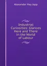 Industrial Curiosities: Glances Here and There in the World of Labour - Alexander Hay Japp