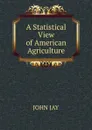 A Statistical View of American Agriculture - John Jay