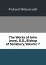 The Works of John Jewel, D.D., Bishop of Salisbury, Volume 7 - Richard William Jelf