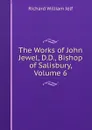 The Works of John Jewel, D.D., Bishop of Salisbury, Volume 6 - Richard William Jelf