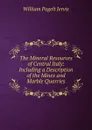 The Mineral Resources of Central Italy: Including a Description of the Mines and Marble Quarries - William Pagelt Jervis