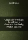 Casgliad o weithiau barddonol y diweddar barchedig (Welsh Edition) - David Jones
