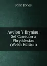 Awelon Y Bryniau: Sef Caneuon a Phryddestau (Welsh Edition) - Jones John