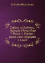 Cofiant a Llythyrau, Ynghyda Phregethau Y Parch. J. Foulkes-Jones, Dan Olygiaeth J. Owen - John Foulkes- Jones