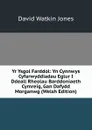 Yr Ysgol Farddol: Yn Cynnwys Cyfarwyddiadau Eglur I Ddeall Rheolau Barddoniaeth Cymreig, Gan Dafydd Morganwg (Welsh Edition) - David Watkin Jones