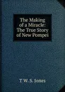 The Making of a Miracle: The True Story of New Pompei - T W. S. Jones