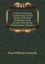 A Short Protestant Commentary On the Books of the New Testament: With General and Special Introductions, Volume 2 - Paul Wilhelm Schmidt