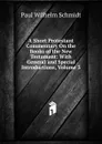 A Short Protestant Commentary On the Books of the New Testament: With General and Special Introductions, Volume 3 - Paul Wilhelm Schmidt