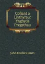 Cofiant a Llythyrau: Ynghyda Pregethau - John Foulkes Jones