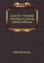 Llaw Fer: Trydydd Gwelliant Cymreig (Welsh Edition) - Edward Jones