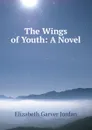 The Wings of Youth: A Novel - Elizabeth Garver Jordan