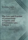 The Law and Practice of Injunctions in Equity and at Common Law, Volume 1 - William Joyce