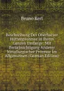 Beschreibung Der Oberharzer Huttenprozesse in Ihrem Ganzen Umfange: Mit Berucksichtigung Anderer Metallurgischer Prozesse Im Allgemeinen (German Edition) - Bruno Kerl