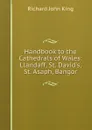 Handbook to the Cathedrals of Wales: Llandaff, St. David.s, St. Asaph, Bangor - Richard John King