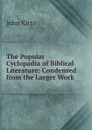 The Popular Cyclopadia of Biblical Literature: Condensed from the Larger Work - John Kitto
