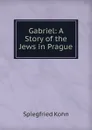 Gabriel: A Story of the Jews in Prague - Spiegfried Kohn