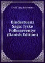 Bindestuens Saga: Jyske Folkeaeventyr (Danish Edition) - Evald Tang Kristensen
