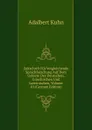 Zeitschrift Fur Vergleichende Sprachforschung Auf Dem Gebiete Des Deutschen, Griechischen Und Lateinischen, Volume 10 (German Edition) - Adalbert Kuhn