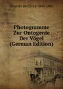 Photogramme Zur Ontogenie Der Vogel (German Edition) - Benecke Berthold 1843-1886