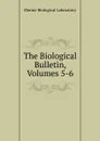 The Biological Bulletin, Volumes 5-6 - Marine Biological Laboratory