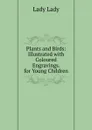 Plants and Birds: Illustrated with Coloured Engravings. for Young Children - Lady Lady