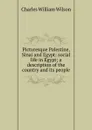 Picturesque Palestine, Sinai and Egypt: social life in Egypt; a description of the country and its people - Charles William Wilson