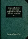 English Botany, Or, Coloured Figures of British Plants, Volume 10 - James Sowerby