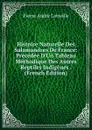 Histoire Naturelle Des Salamandres De France: Precedee D.Un Tableau Methodique Des Autres Reptiles Indigenes . (French Edition) - Pierre André Latreille