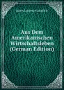 Aus Dem Amerikanischen Wirtschaftsleben (German Edition) - Laughlin J. Laurence