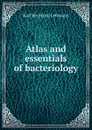 Atlas and essentials of bacteriology - Karl Bernhard Lehmann