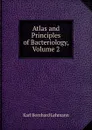 Atlas and Principles of Bacteriology, Volume 2 - Karl Bernhard Lehmann