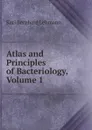 Atlas and Principles of Bacteriology, Volume 1 - Karl Bernhard Lehmann