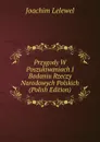 Przygody W Poszukiwaniach I Badaniu Rzeczy Narodowych Polskich (Polish Edition) - Joachim Lelewel