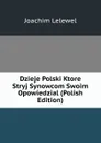Dzieje Polski Ktore Stryj Synowcom Swoim Opowiedzial (Polish Edition) - Joachim Lelewel