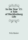 In the Year .13: A Tale of Mecklenburg Life - Fritz Reuter