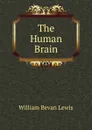 The Human Brain - William Bevan Lewis