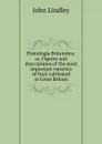 Pomologia Britannica: or, Figures and descriptions of the most important varieties of fruit cultivated in Great Britain - John Lindley