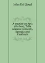 A treatise on Apis (the bee), Tella Araneae (cobweb), Spongia and Cantharis - John Uri Lloyd