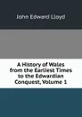 A History of Wales from the Earliest Times to the Edwardian Conquest, Volume 1 - John Edward Lloyd