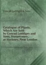 Catalogue of Plants, Which Are Sold by Conrad Loddiges and Sons, Nurserymen, at Hackney, Near London - Conrad Loddiges & Sons