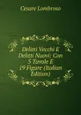 Delitti Vecchi E Delitti Nuovi: Con 5 Tavole E 19 Figure (Italian Edition) - Cesare Lombroso