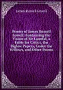Poems of James Russell Lowell: Containing the Vision of Sir Launfal, a Fable for Critics, the Biglow Papers, Under the Willows, and Other Poems - James Russell Lowell