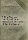 A New Mexico David, and other stories and sketches of the Southwest - Charles Fletcher Lummis