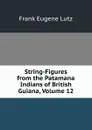 String-Figures from the Patamana Indians of British Guiana, Volume 12 - Frank Eugene Lutz