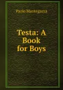 Testa: A Book for Boys - Paolo Mantegazza