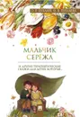 Мальчик Серёжа. И другие терапевтические сказки, которые... - О. Е. Хухлаев, О. В. Хухлаева