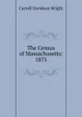 The Census of Massachusetts: 1875 - Wright Carroll Davidson
